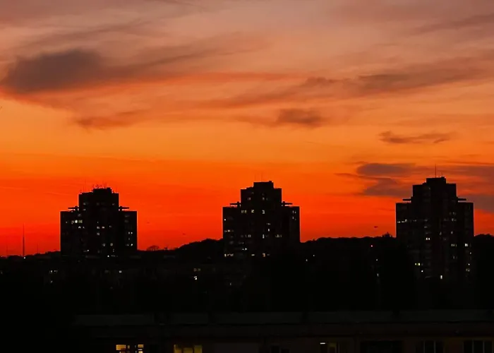 Daire Summer Edition *